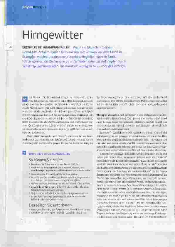 Vorschauseite 1: Hirngewitter