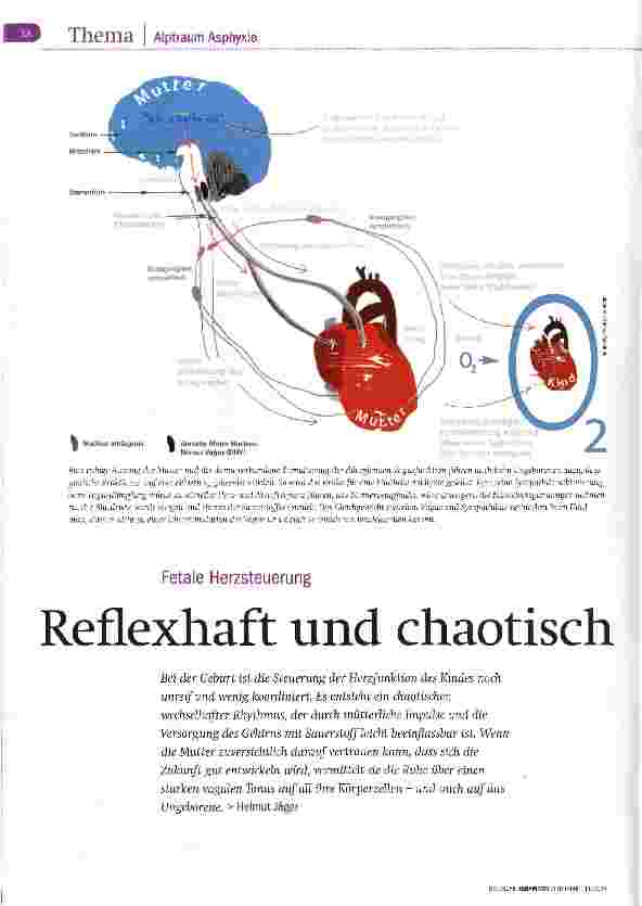 Vorschauseite 1: Reflexhaft und chaotisch