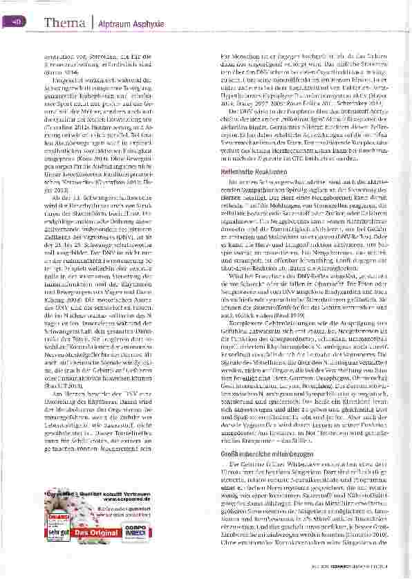 Vorschauseite 3: Reflexhaft und chaotisch