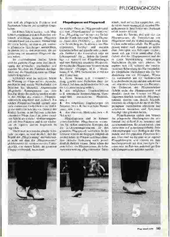 Vorschauseite 2: Pflegediagnose Babylonische Sprachverwirrung Der Versuch einer Begriffserklärung
