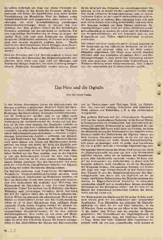 Vorschauseite 3: Die Apoplexie