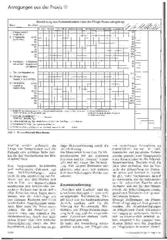 Vorschauseite 4: PPR-Einstufung plus Krankenakte oder aus der Krankenakte?