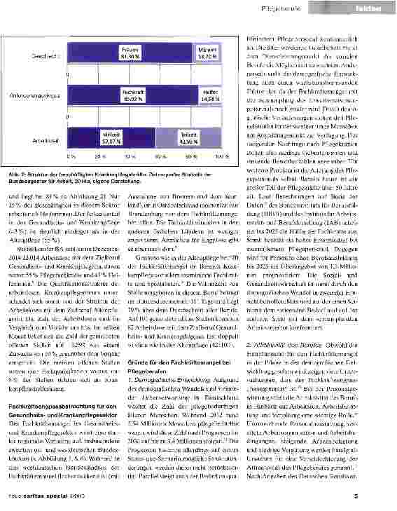 Vorschauseite 2: II. Arbeitsmarkt der sozialen Berufe - Fakten und Hintergründe