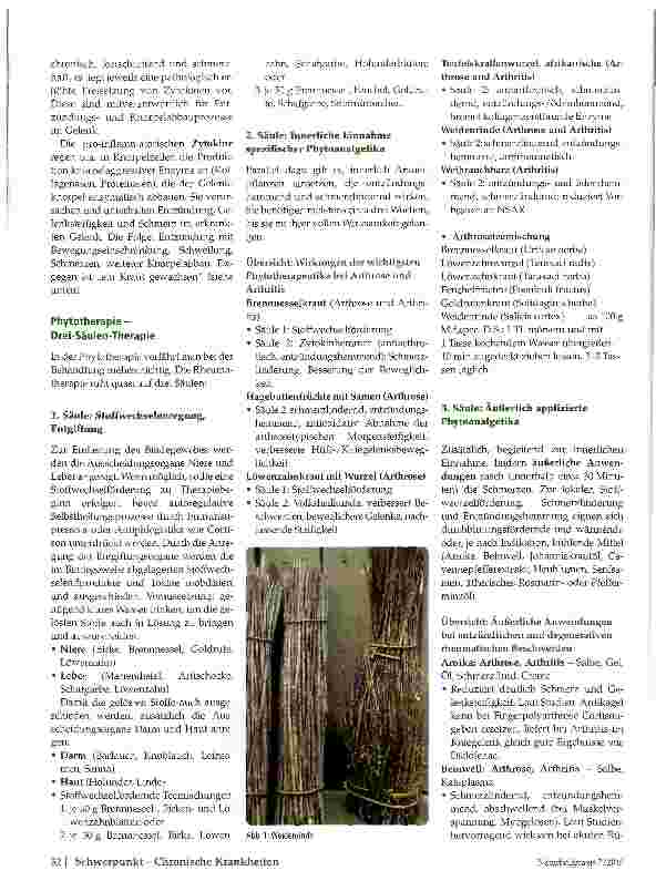 Vorschauseite 3: Rheuma
