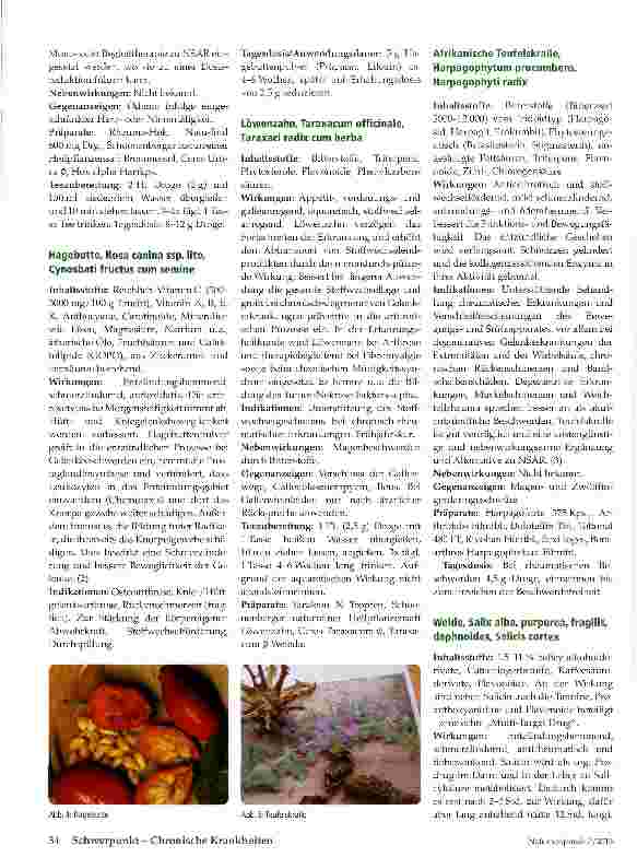 Vorschauseite 5: Rheuma