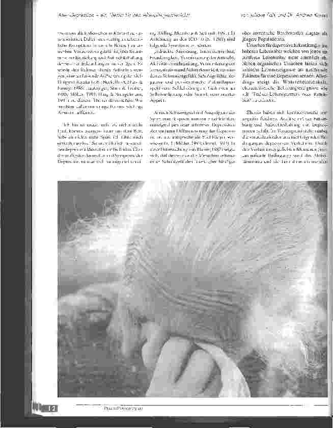 Vorschauseite 2: Altersdepression - ein Thema für den Altenpflegeunterricht