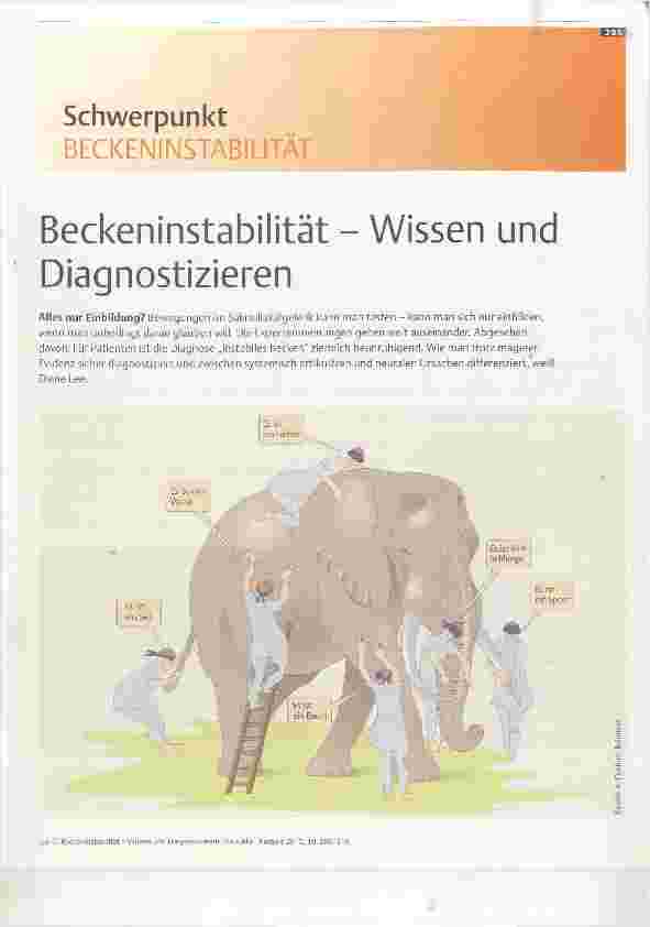 Vorschauseite 1: Beckeninstabilität Wissen und Diagnostizieren