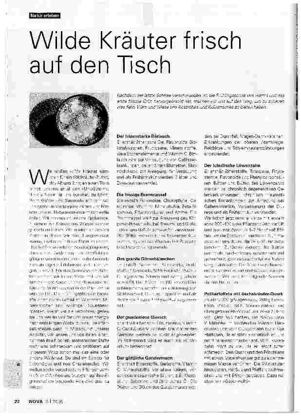Vorschauseite 1: Wilde Kräuter frisch auf den Tisch