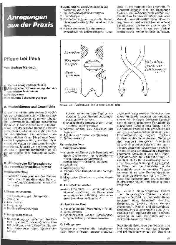 Vorschauseite 1: Pflege bei Ileus