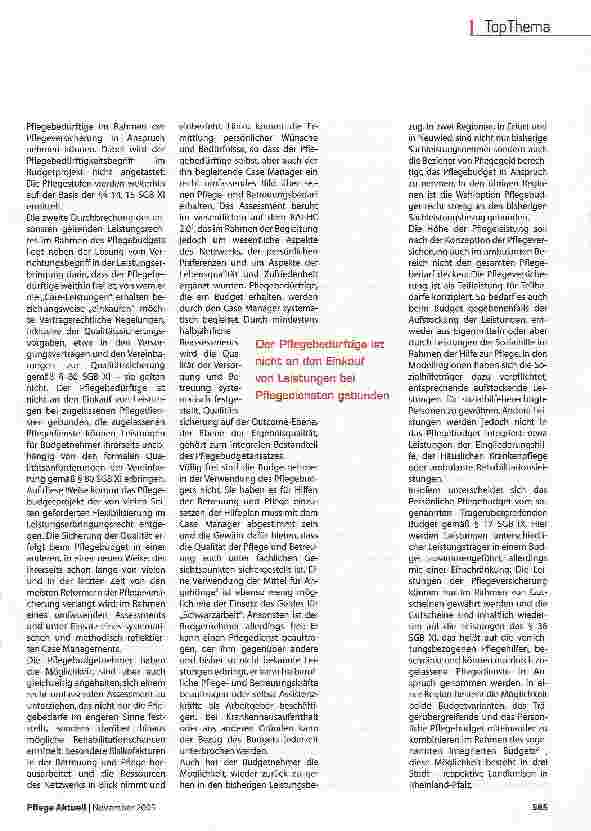 Vorschauseite 2: Projekt persönliches Pflegebudget