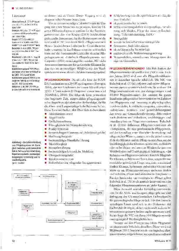 Vorschauseite 2: Pflegeprozess, Pflegediagnosen und Pflegeinterventionen