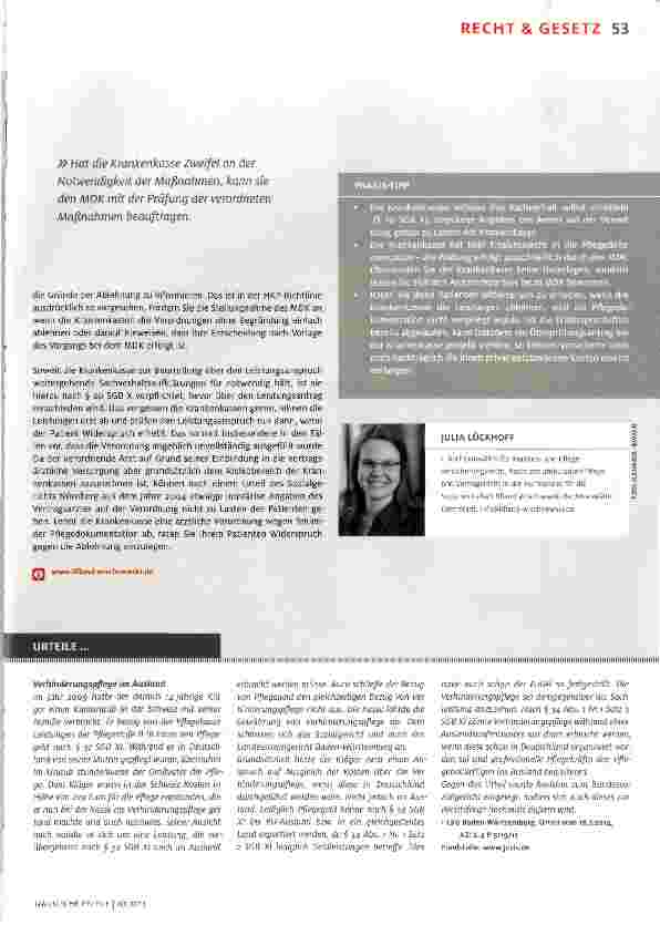 Vorschauseite 2: Die Pflegedoku: Das Objekt der Begierde