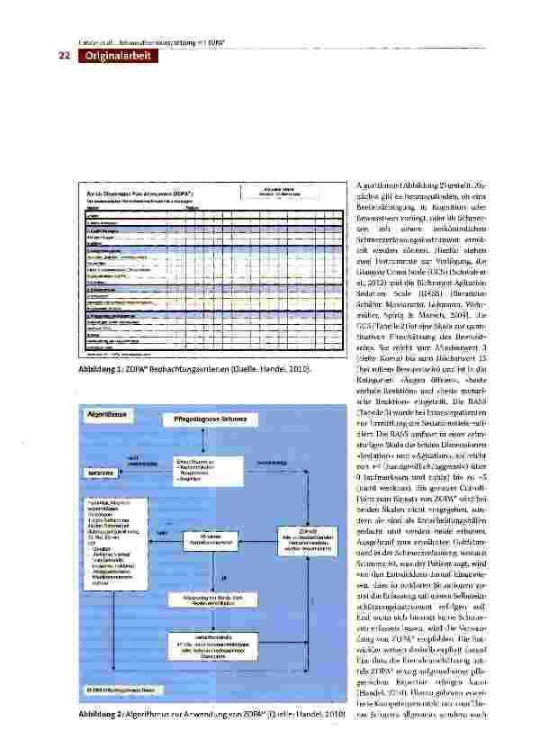 Vorschauseite 4: Die standardisierte Fremdeinschätzung von Schmerzen bei bewusstseinsbeeinträchtigten Patienten mit dem Zürich Observation Pain Assessment (ZOPA®) auf einer neurochirurgischen Inte…