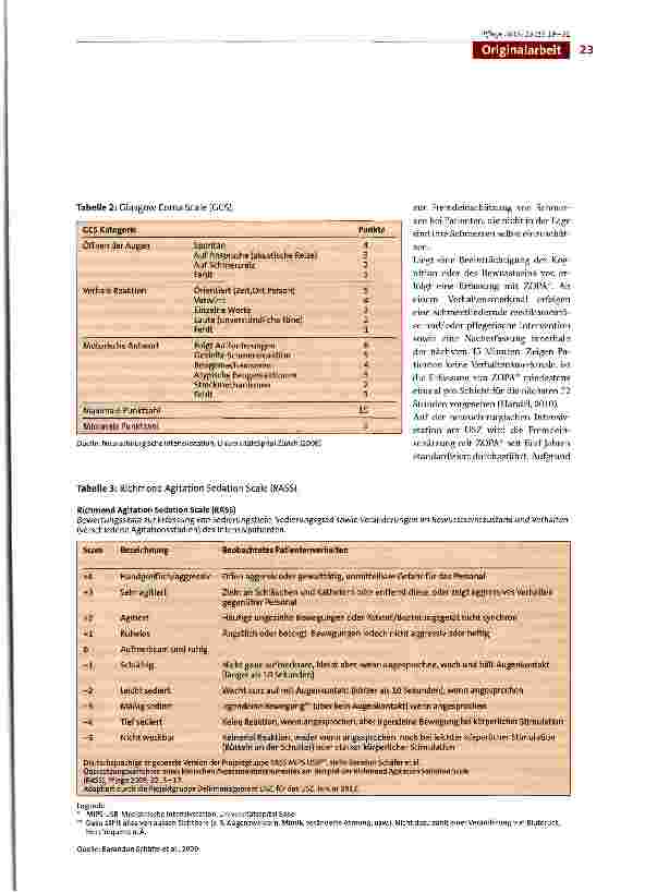 Vorschauseite 5: Die standardisierte Fremdeinschätzung von Schmerzen bei bewusstseinsbeeinträchtigten Patienten mit dem Zürich Observation Pain Assessment (ZOPA®) auf einer neurochirurgischen Inte…