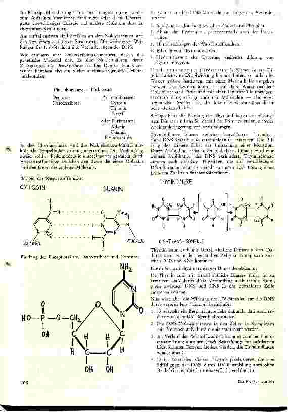 Vorschauseite 4: Theoretische Grundlagen und praktische Hinweise zur Anwendung von UV- Strahlen im Krankenhaus