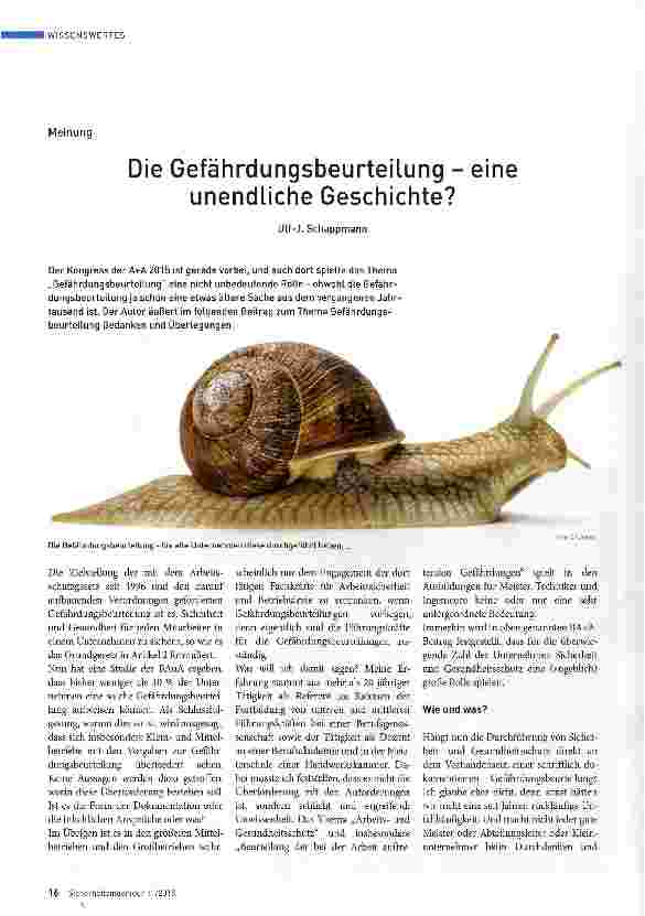 Vorschauseite 1: Die Gefährdungsbeurteilung - eine unendliche Geschichte?