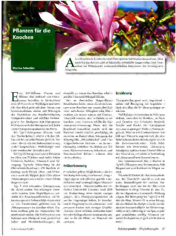 Vorschauseite 1: Pflanzen für die Knochen