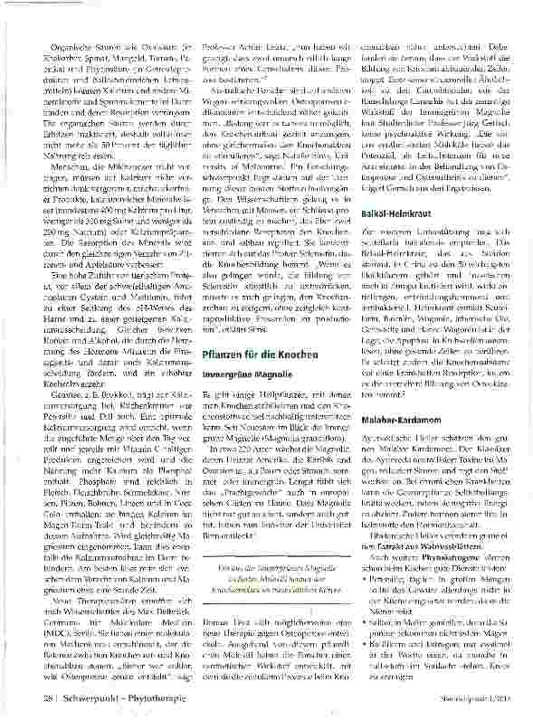 Vorschauseite 2: Pflanzen für die Knochen