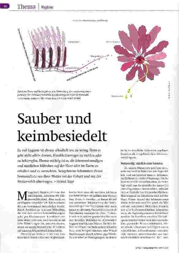 Vorschauseite 1: Sauber und keimbesiedelt