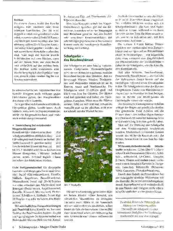 Vorschauseite 3: Kamille, Schafgarbe und Wermut