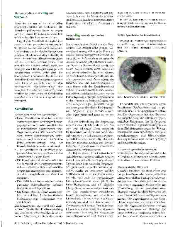 Vorschauseite 3: Augendiagnose und Konstitution