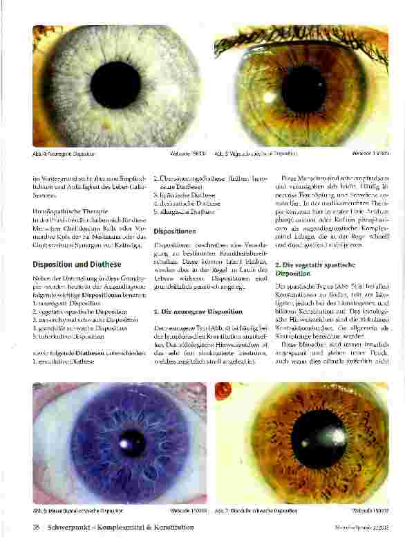 Vorschauseite 5: Augendiagnose und Konstitution
