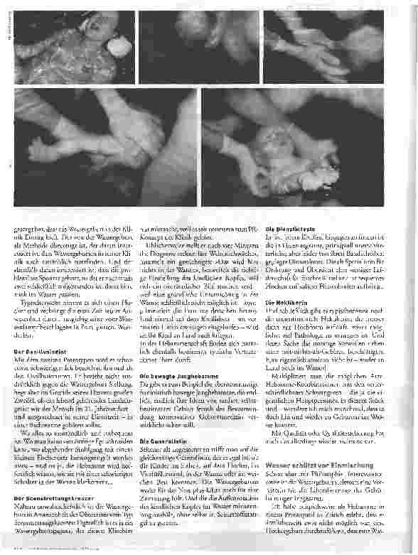 Vorschauseite 2: Über Schwimmflügel und Fischernetze