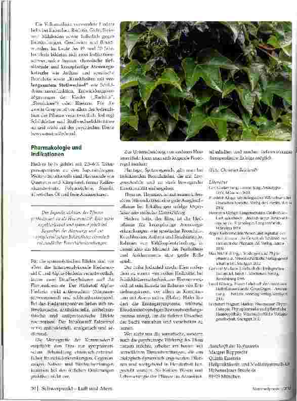 Vorschauseite 3: Efeu (hedera helix)