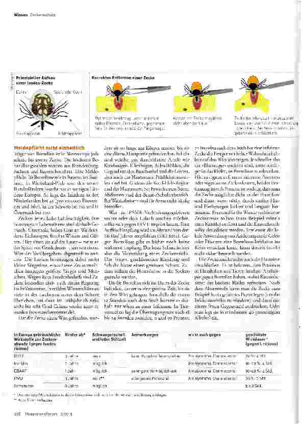 Vorschauseite 2: Ixodes ricinus: Wie man sich vor Zecken schützt