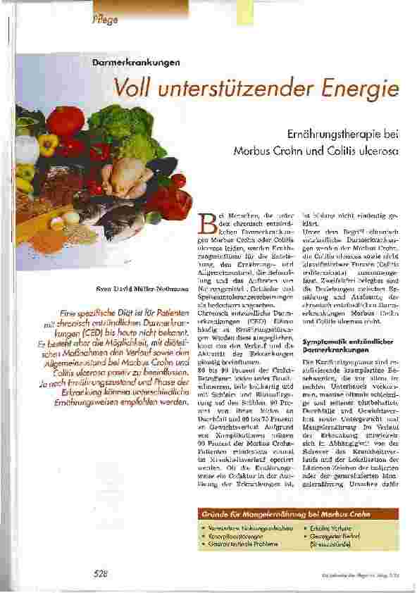 Vorschauseite 1: Voll unterstützender EnergieErnährungstherapie bei Morbus Crohn und Colitis ulcerosa