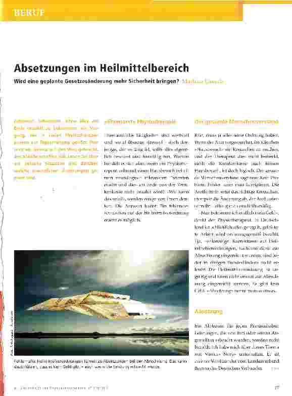 Vorschauseite 1: Absetzungen im Heilmittelbereich