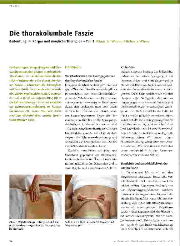 Vorschauseite 1: Die thorakolumbale Faszie Bedeutung im Körper und mögliche Therapien - Teil 2