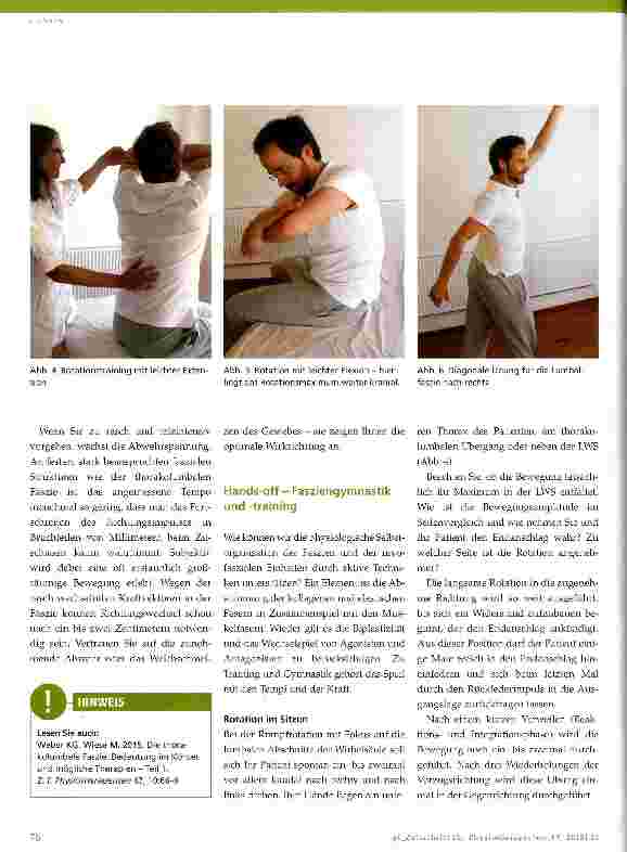Vorschauseite 3: Die thorakolumbale Faszie Bedeutung im Körper und mögliche Therapien - Teil 2