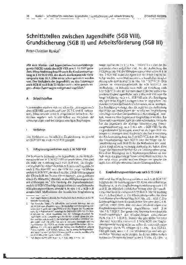 Vorschauseite 1: Schnittstellen zwischen Jugendhilfe (SGB VIII), Grundsicherung (SGB II) und Arbeitsförderung (SGB III)