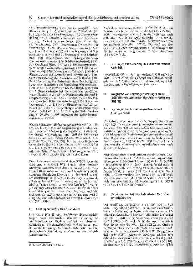 Vorschauseite 5: Schnittstellen zwischen Jugendhilfe (SGB VIII), Grundsicherung (SGB II) und Arbeitsförderung (SGB III)