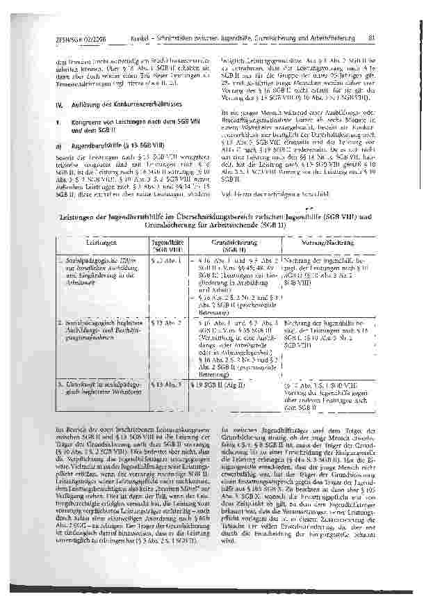 Vorschauseite 6: Schnittstellen zwischen Jugendhilfe (SGB VIII), Grundsicherung (SGB II) und Arbeitsförderung (SGB III)