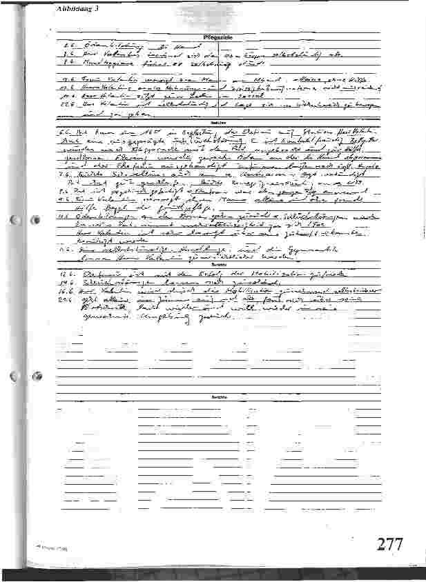 Vorschauseite 4: Sinn und Zweck der Pflegedokumentation