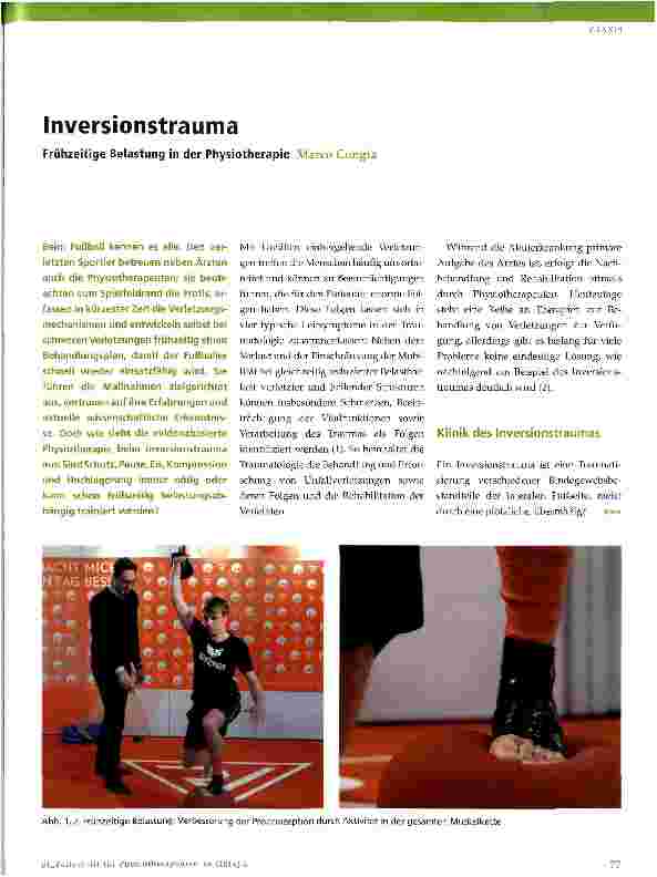 Vorschauseite 1: Inversionstrauma