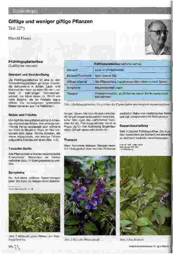 Vorschauseite 1: Giftige und weniger giftige Pflanzen Teil 22, Frühlingsplatterbse (Lathyrus vernus)