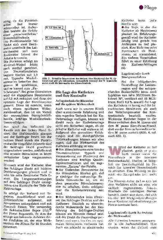 Vorschauseite 3: Der Nervus-Femoralis-Katheter Ein etabliertes Verfahren? Teil 1