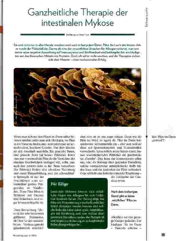 Vorschauseite 1: Ganzheitliche Therapie der intestinalen Mykose