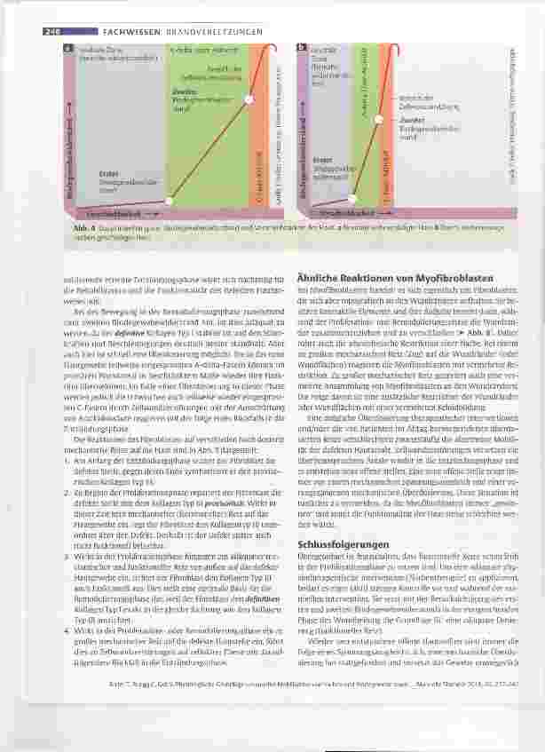 Vorschauseite 4: Physiologische Grundlagen manueller Mobilisation von Narben und Bindegewebe sowie Dosierung bei Patienten mit großflächigen Brandverletzungen