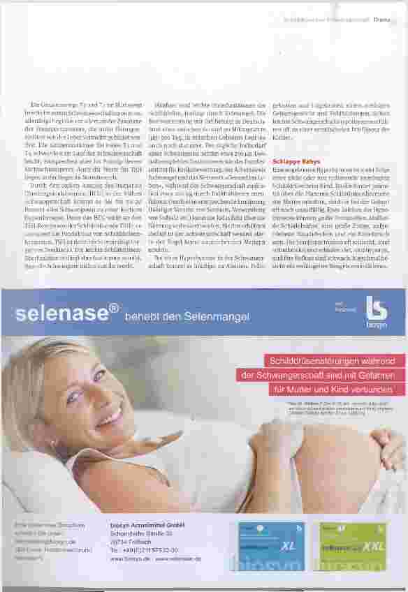 Vorschauseite 4: Der Schmetterling