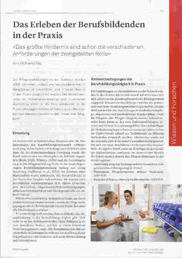 Vorschauseite 1: Das Erleben der Berufsbildenden in der Praxis