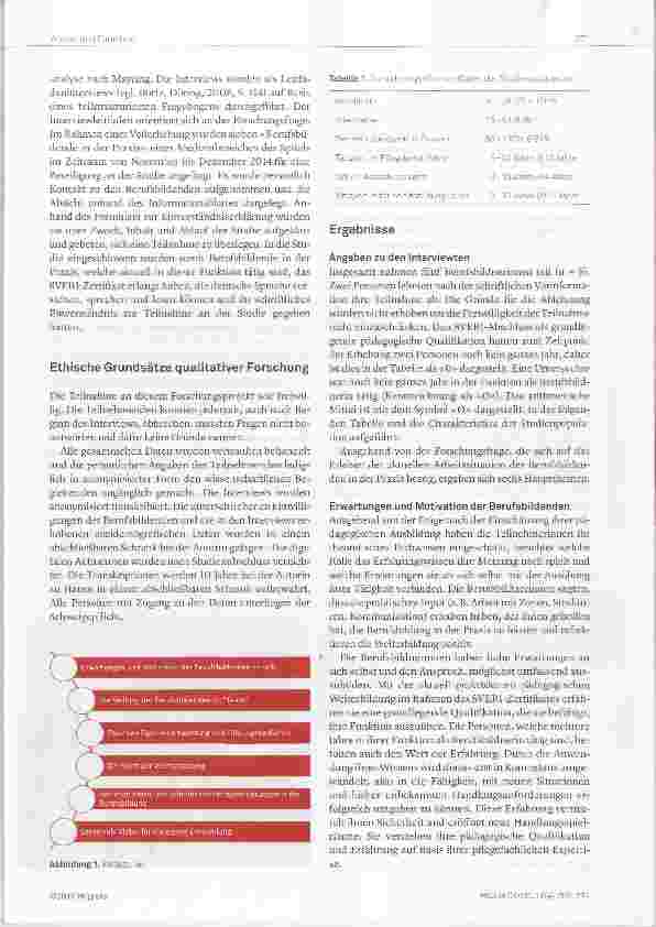 Vorschauseite 3: Das Erleben der Berufsbildenden in der Praxis