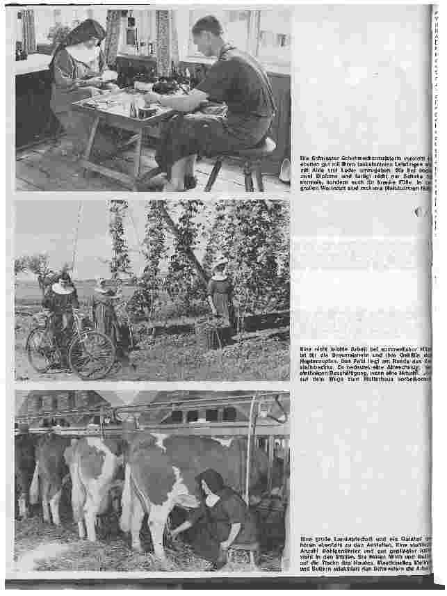 Vorschauseite 5: Die Kongregation der St.-Josephs-Schwestern Im Dienste der Ärmsten in den Anstalten Ursberg