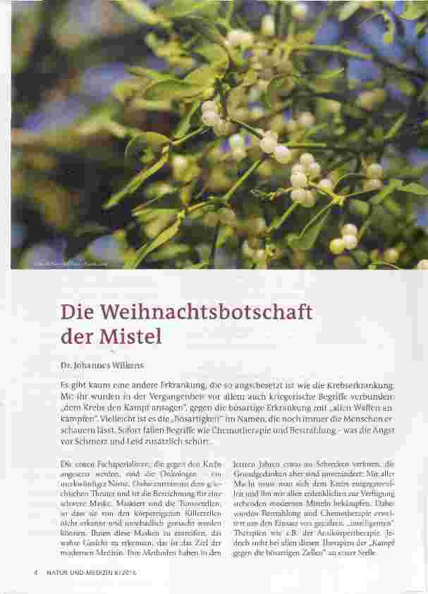 Vorschauseite 1: Die Weihnachtsbotschaft der Mistel