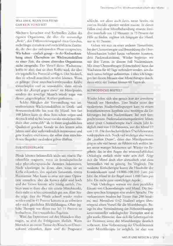Vorschauseite 2: Die Weihnachtsbotschaft der Mistel