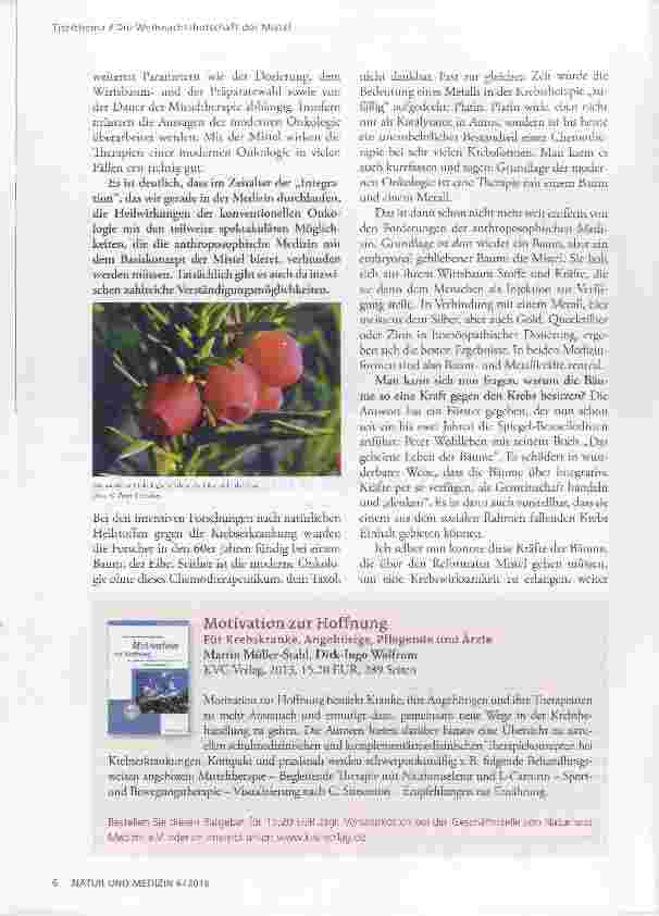 Vorschauseite 3: Die Weihnachtsbotschaft der Mistel