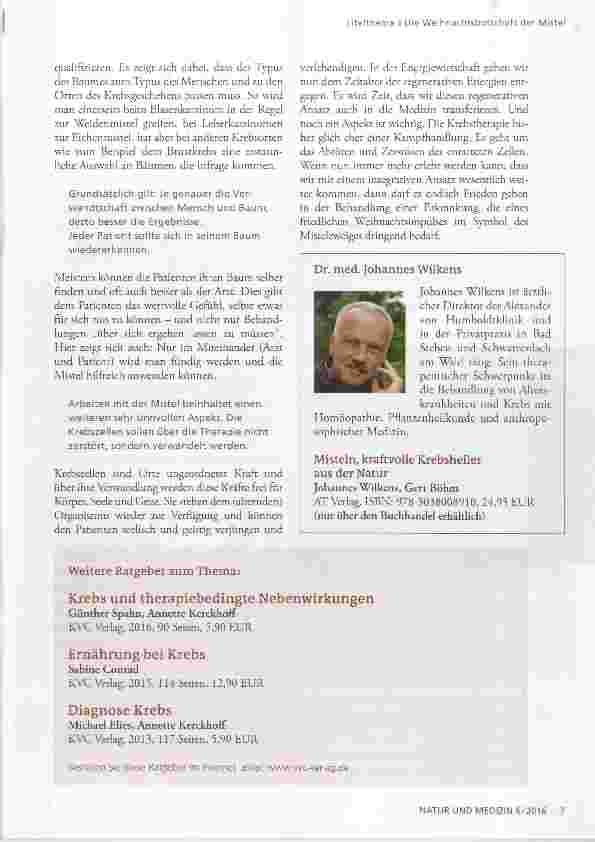 Vorschauseite 4: Die Weihnachtsbotschaft der Mistel